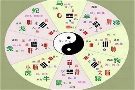 一字五行属什么|五行汉字属性查询